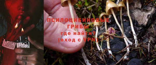 тгк Алзамай