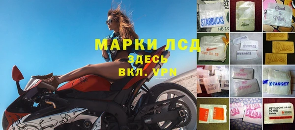 тгк Алзамай