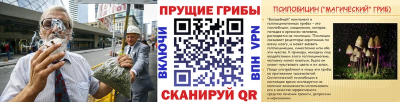 что такое наркотик  Лаишево  Псилоцибиновые грибы ЛСД 